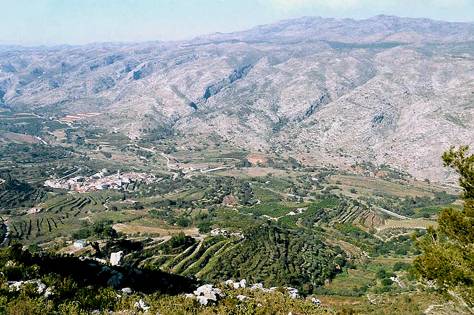 La regeneración vegetal tras un incendio depende de los rasgos funcionales de las plantas y de la historia de usos del suelo