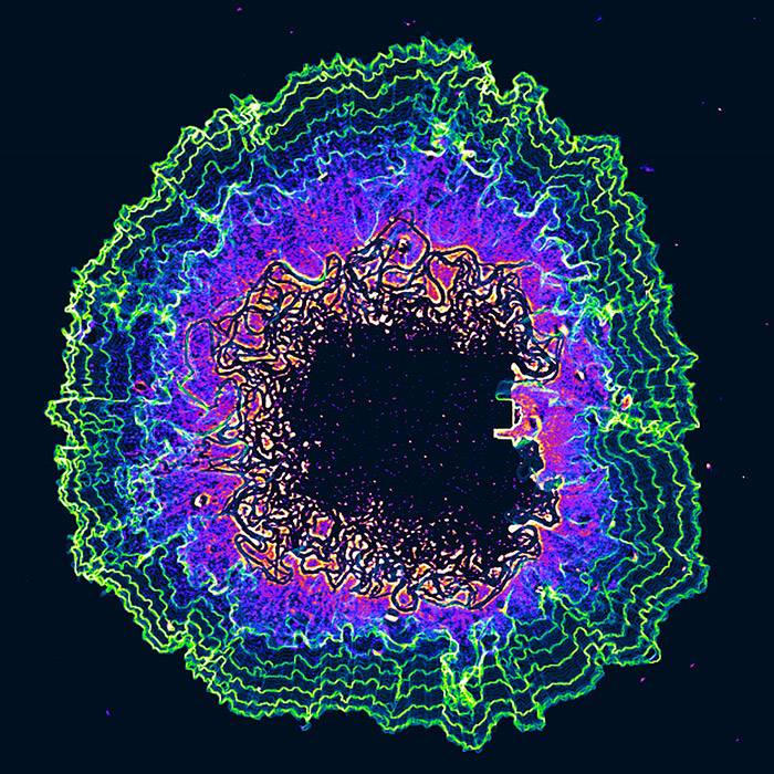 La resolución de conflictos entre bacterias marca la gran resistencia de sus ‘biofilms’