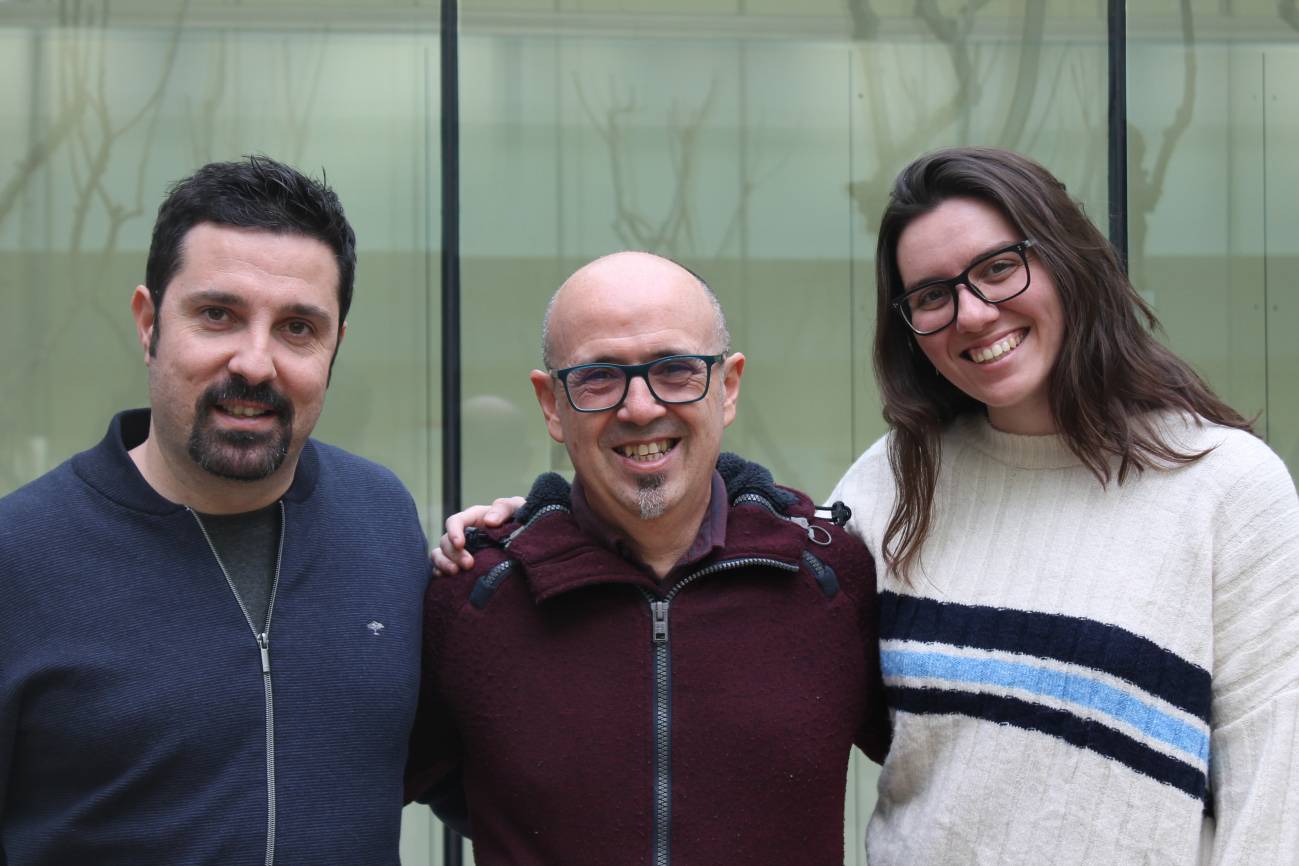 La resolución de la estructura de una proteína amiloide funcional aporta nuevas claves sobre una enfermedad rara