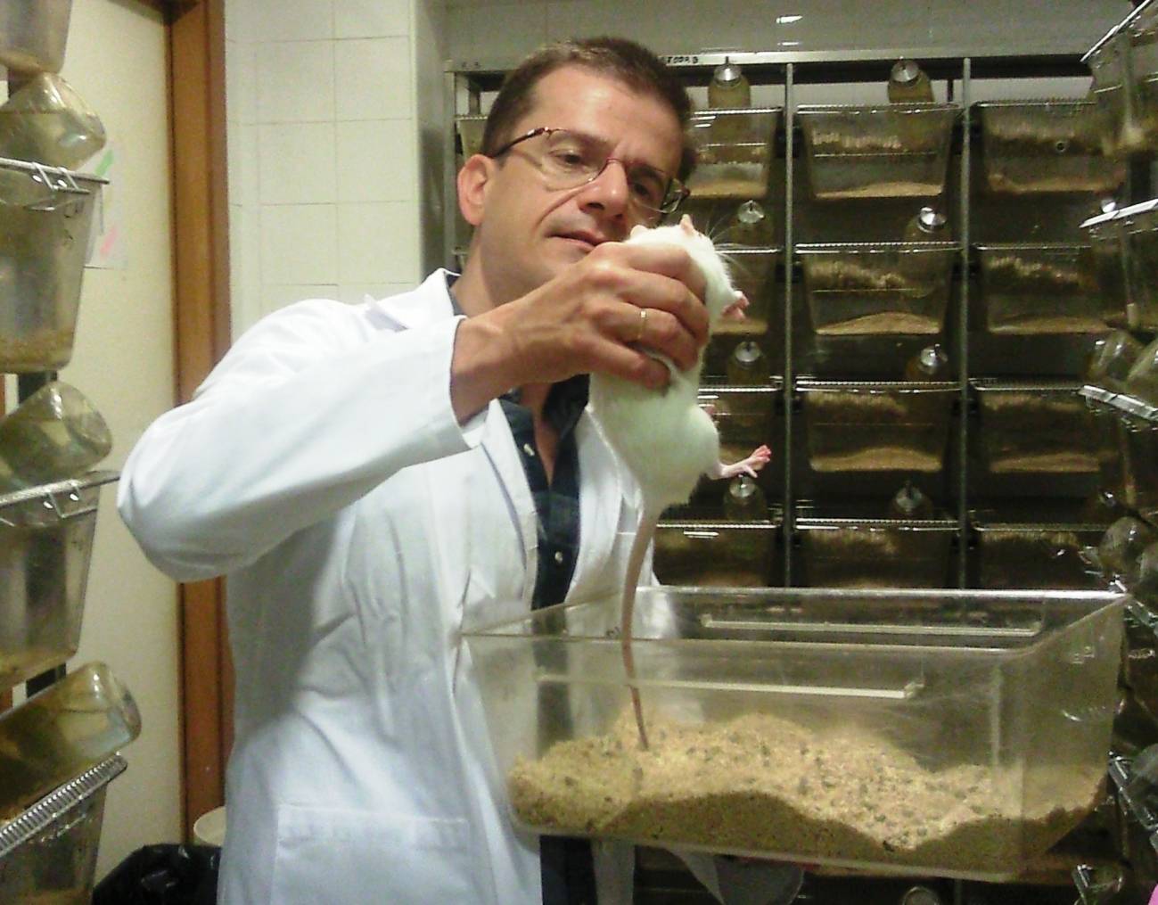 El investigador Gonzalo De la Casa en el laboratorio de la Facultad de Psicología de la Universidad de Sevilla.