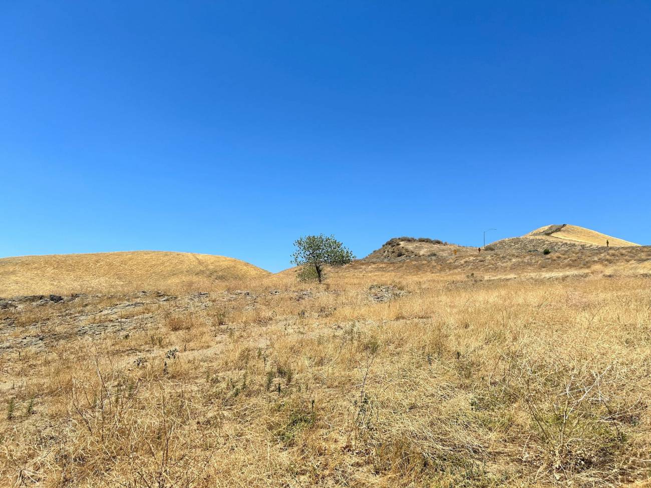 La sequía favorece la resistencia a los antibióticos de microorganismos en el suelo