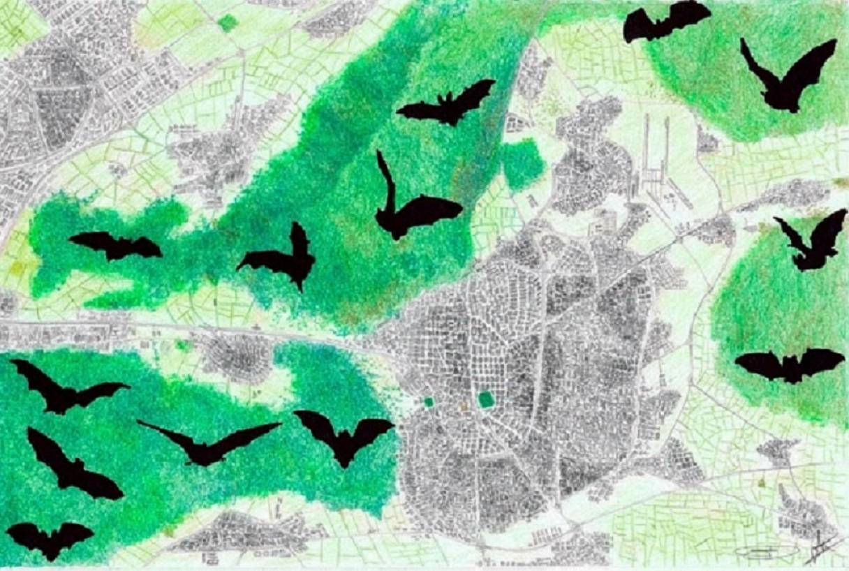Dibujo de la distribución de algunas zonas protegidas alrededor de Madrid.