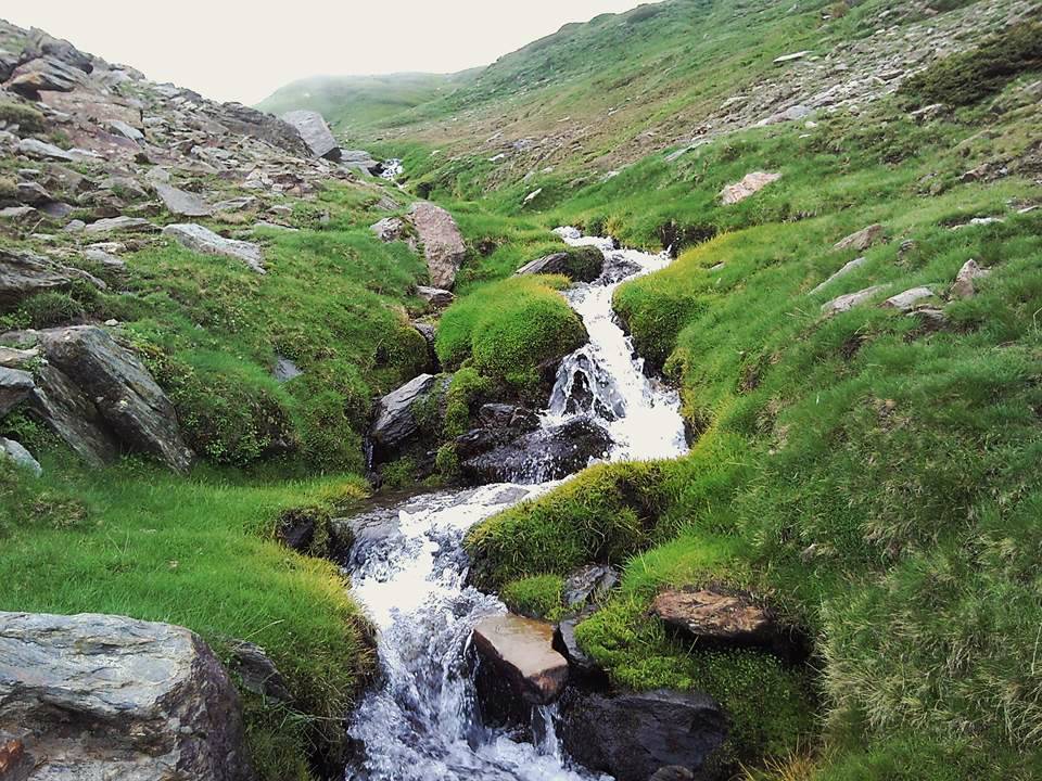 Arroyo de alta montaña de Sierra Nevada. 