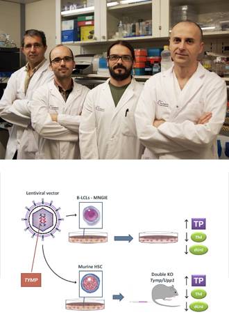 La terapia génica, una posible solución para una enfermedad minoritaria y mortal