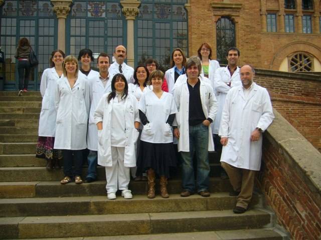 La terapia grupal, efectiva para personas con transtornos de personalidad