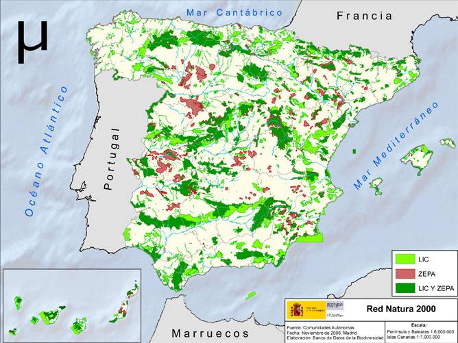 La UE amplía la protección de la fauna y la flora silvestres europeas 