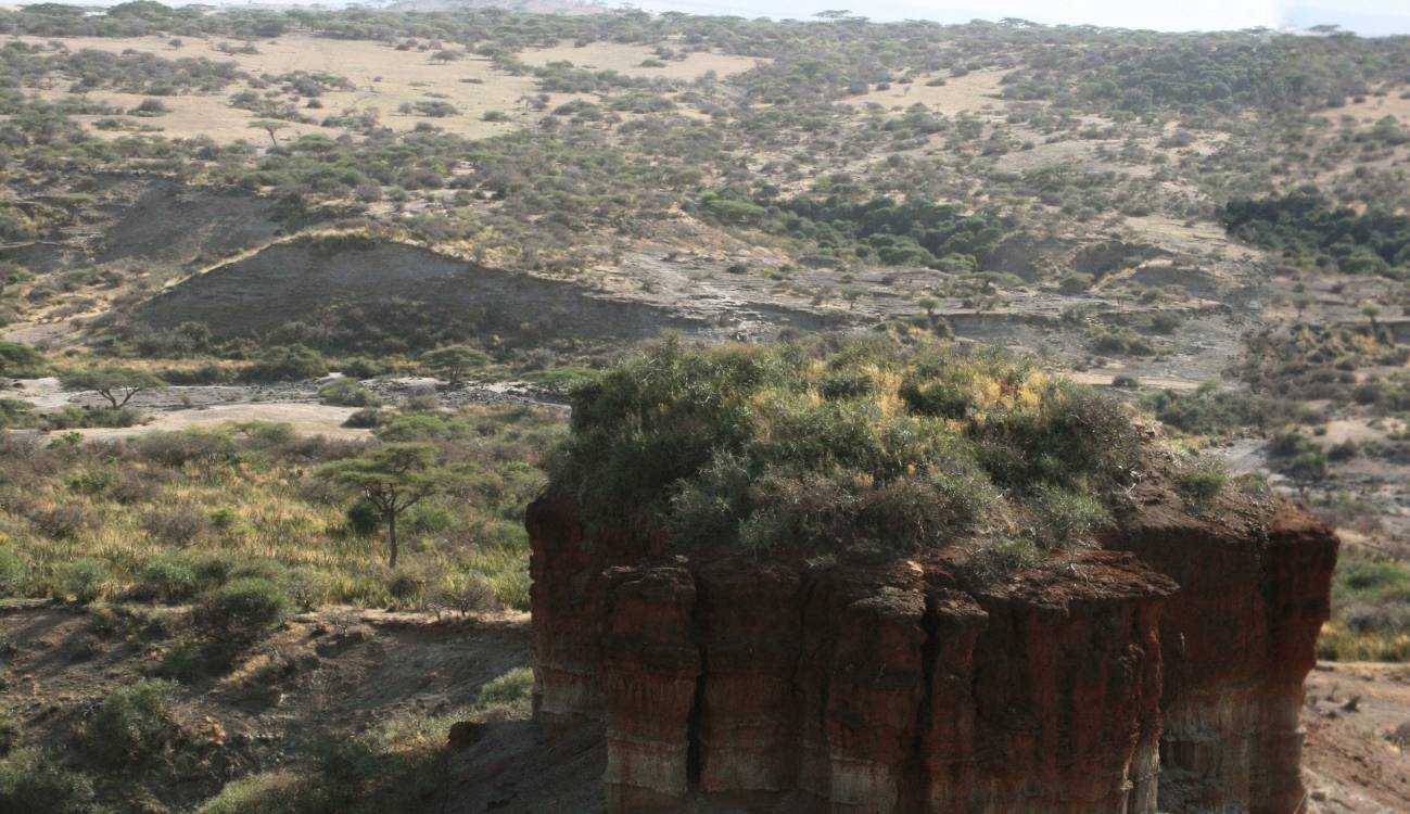 La UNESCO añade el sitio arqueológico de Siega Verde al patrimonio cultural