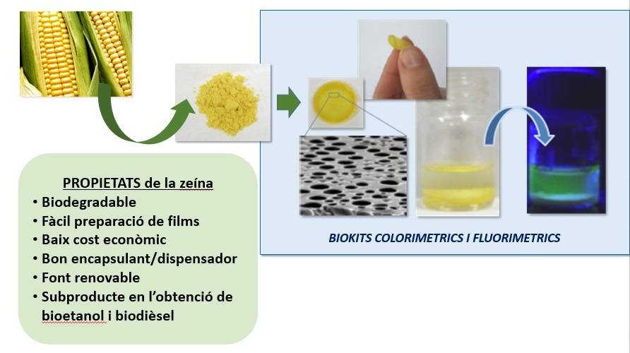 La zeína, una alternativa sostenible a los materiales plásticos en biosensores 