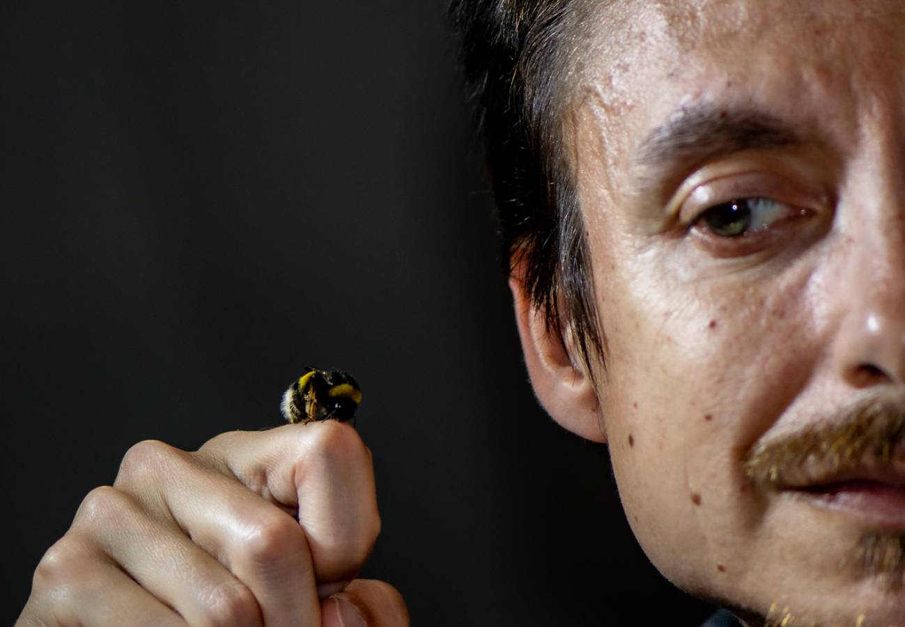 Las abejas también desaparecen de los registros