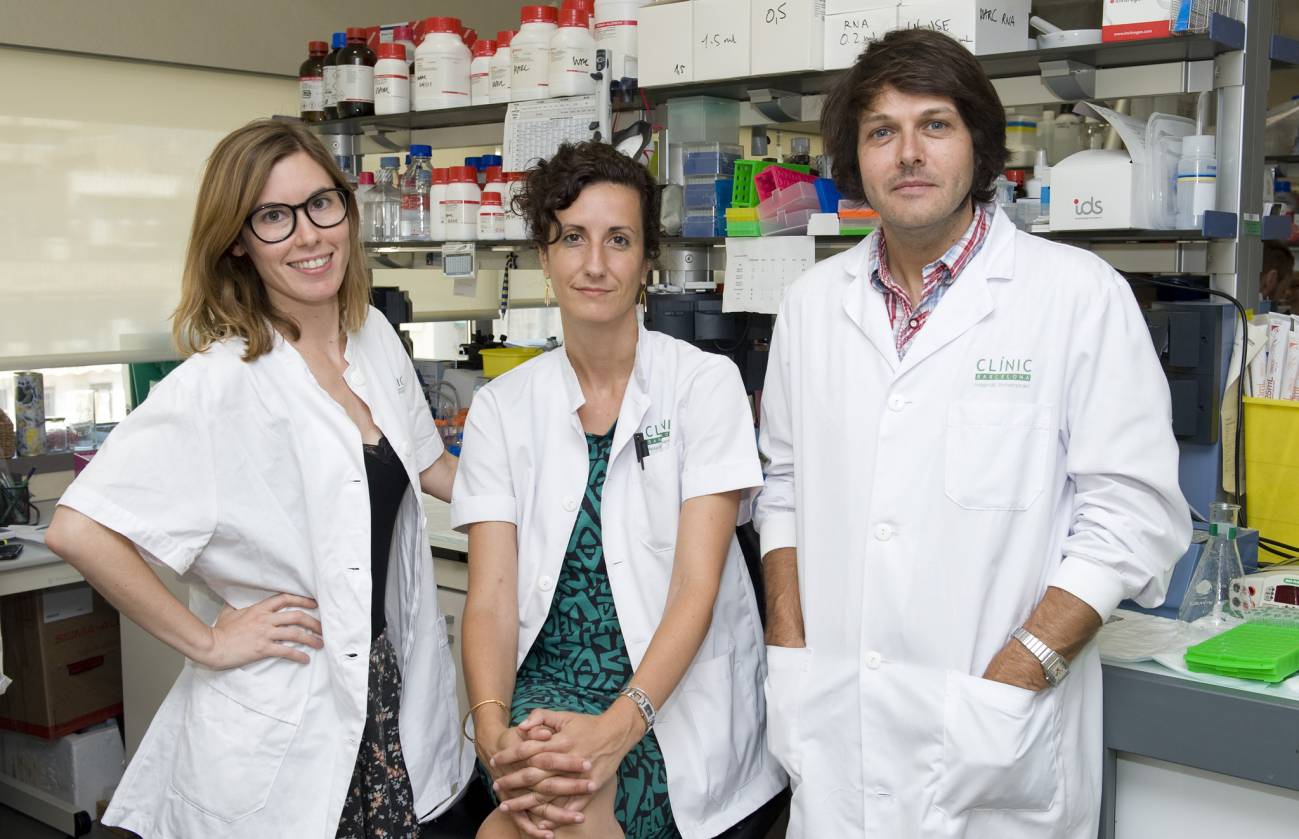 Las alteraciones en algunas neuronas se relacionan con la diabetes de tipo 2