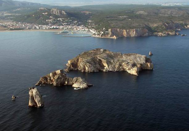 Las áreas marinas protegidas no preservan a todas las especies por igual