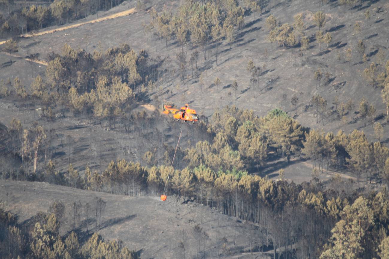 Las áreas quemadas por los incendios se triplicarán en la Península para 2075