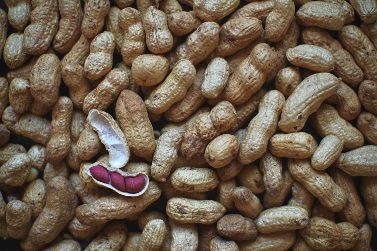 alergia, cacahuetes, microbiota, saliva, bacteria