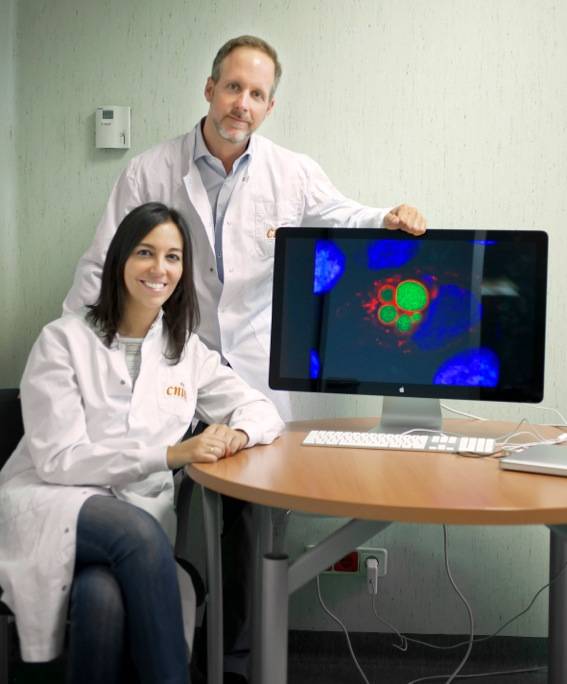 Las células madre tumorales se pueden rastrear gracias a su fluorescencia