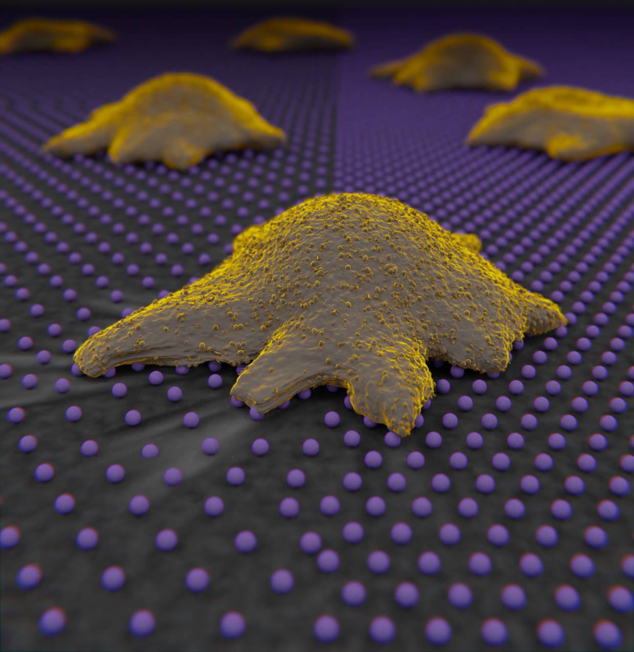 Las células tantean su entorno para explorar el nanomundo