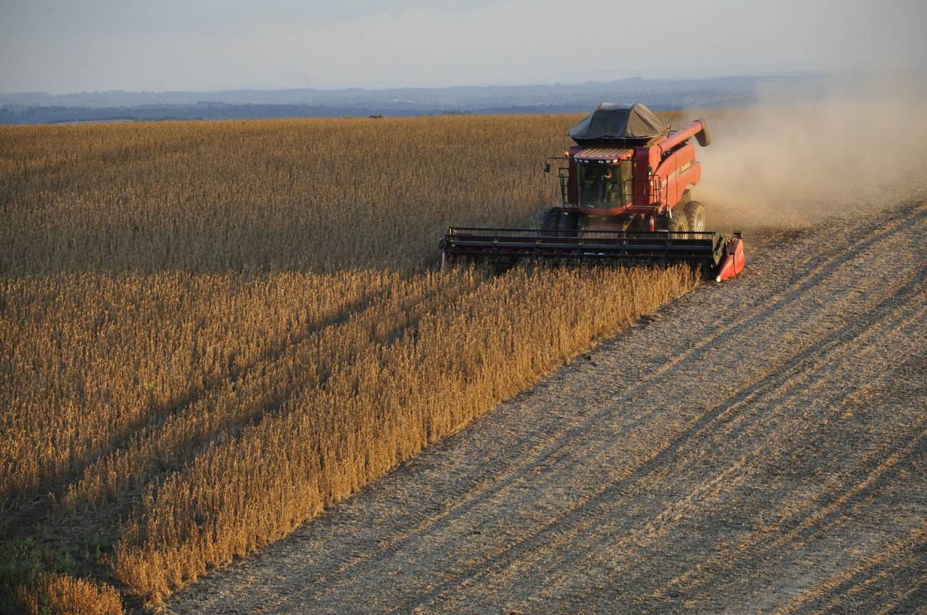 Las importaciones de cacao, café y soja de la UE estarán en peligro por la crisis climática