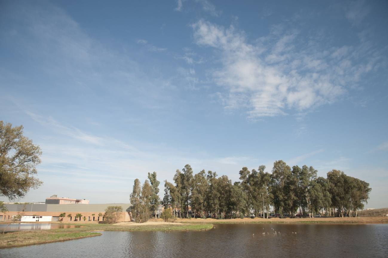 Las lagunas aumentan la biodiversidad del campus de la UPO