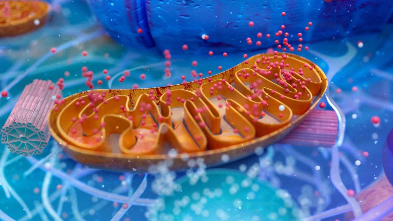 Ilustración abstracta en 3D de una célula biológica y sus mitocondrias