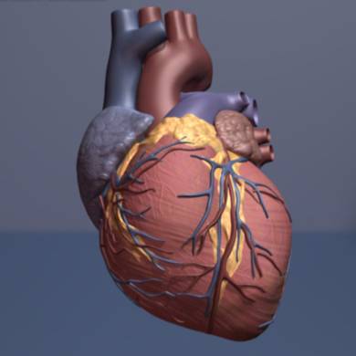 Las mujeres con menopausia tienen menor riesgo cardiovascular que los hombres 