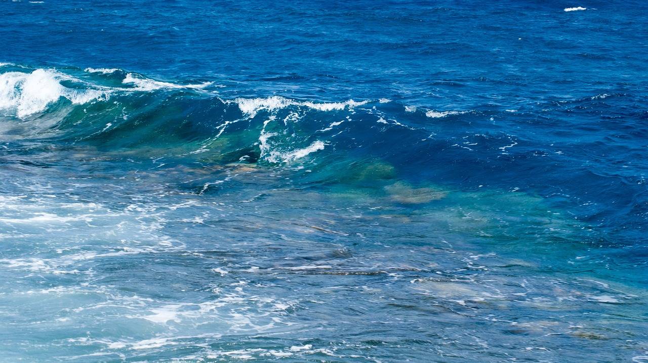 Las olas de calor marinas amenazan la biodiversidad de los océanos 