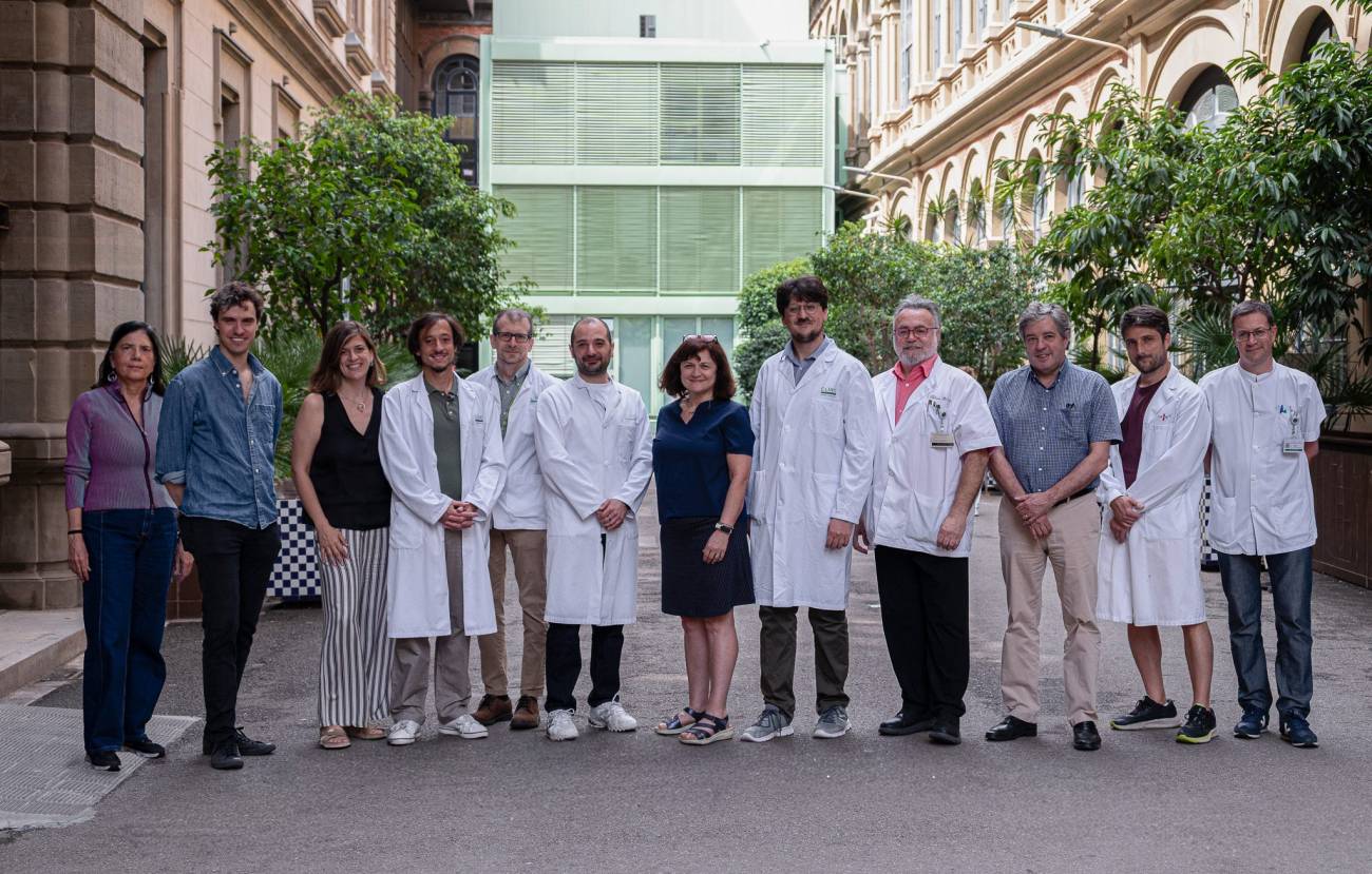 grupo investigación IDIBAPS