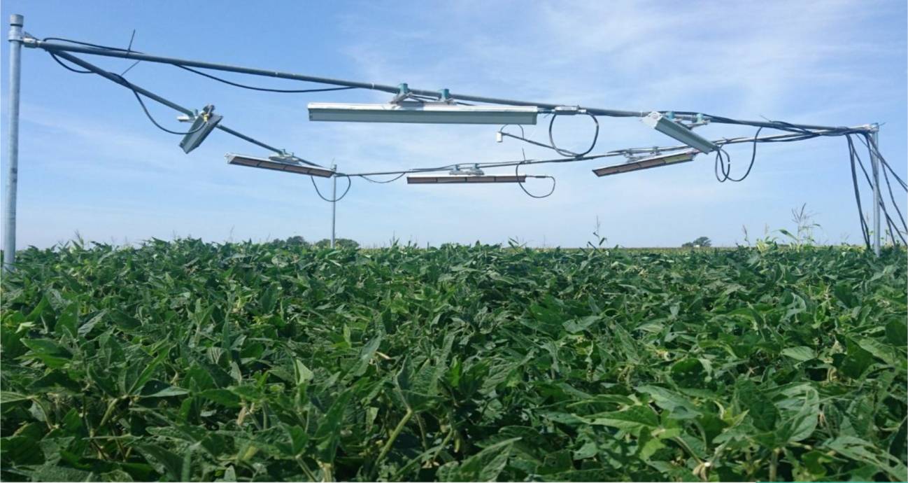 Sistema de calefacción infrarroja empleado para simular condiciones de más temperatura en plantas