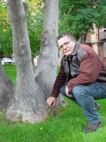 Las reforestaciones cada vez se hacen de forma más eficiente