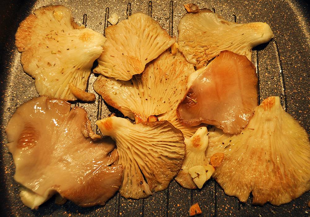 Las setas a la plancha o al microondas conservan mejor sus propiedades