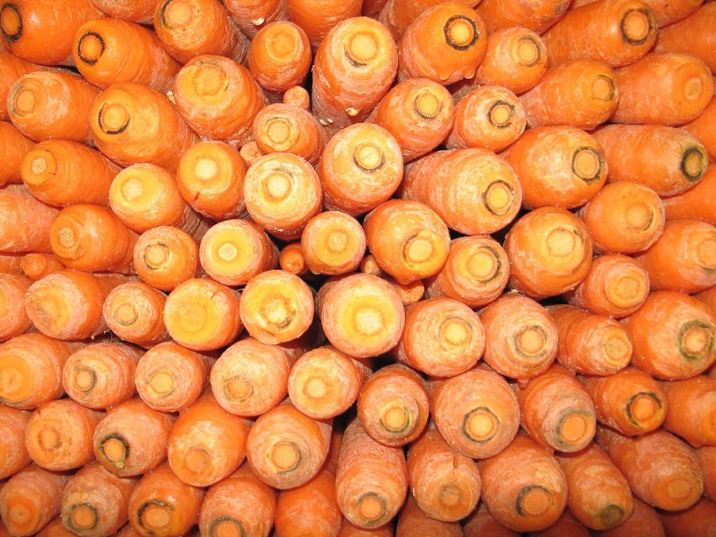 En España se descarta el 20% de frutas y hortalizas por no cumplir los estándares. Imagen: Fovea Centralis.