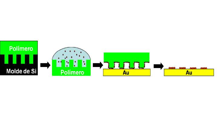 Litografía con enzimas: un nuevo método paraobtener superficies biosensoras microestructuradas 