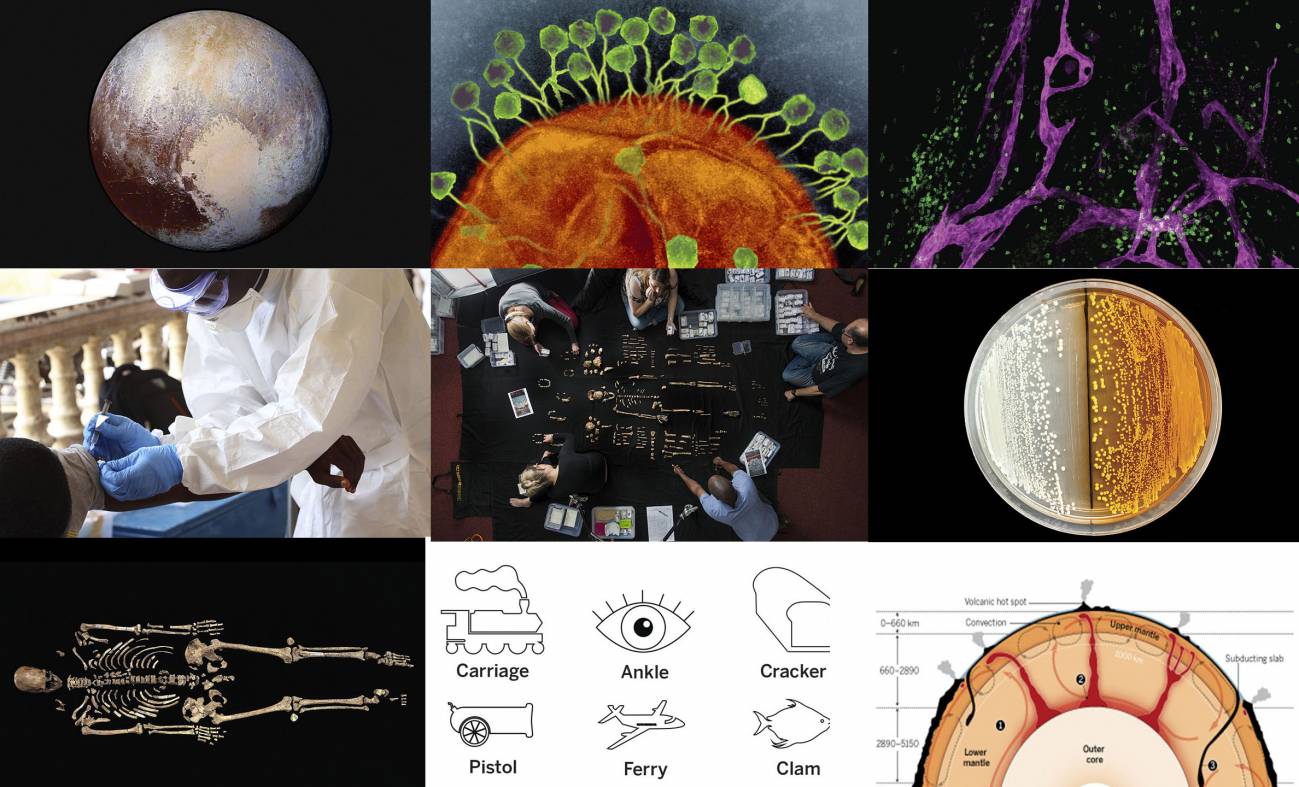 Lo mejor de la ciencia en 2015