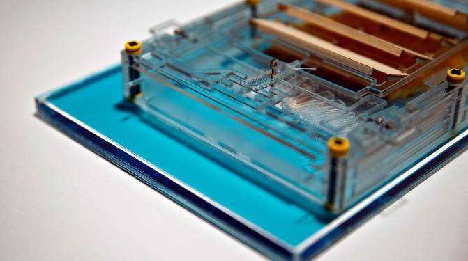 Logran generar electricidad a partir de evaporación en esporas bacterianas