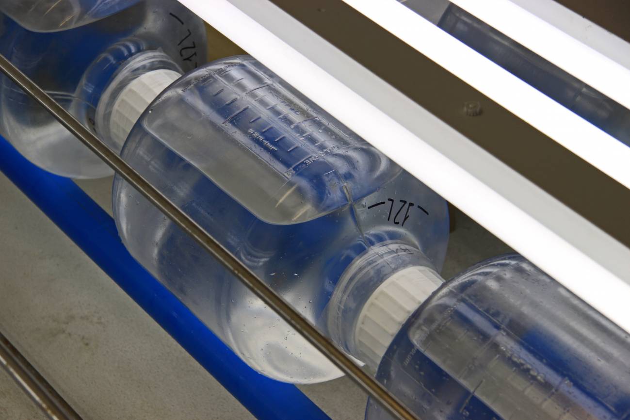 Los aportes de agua de lluvia tienen un efecto positivo en la productividad de la Ría de Vigo