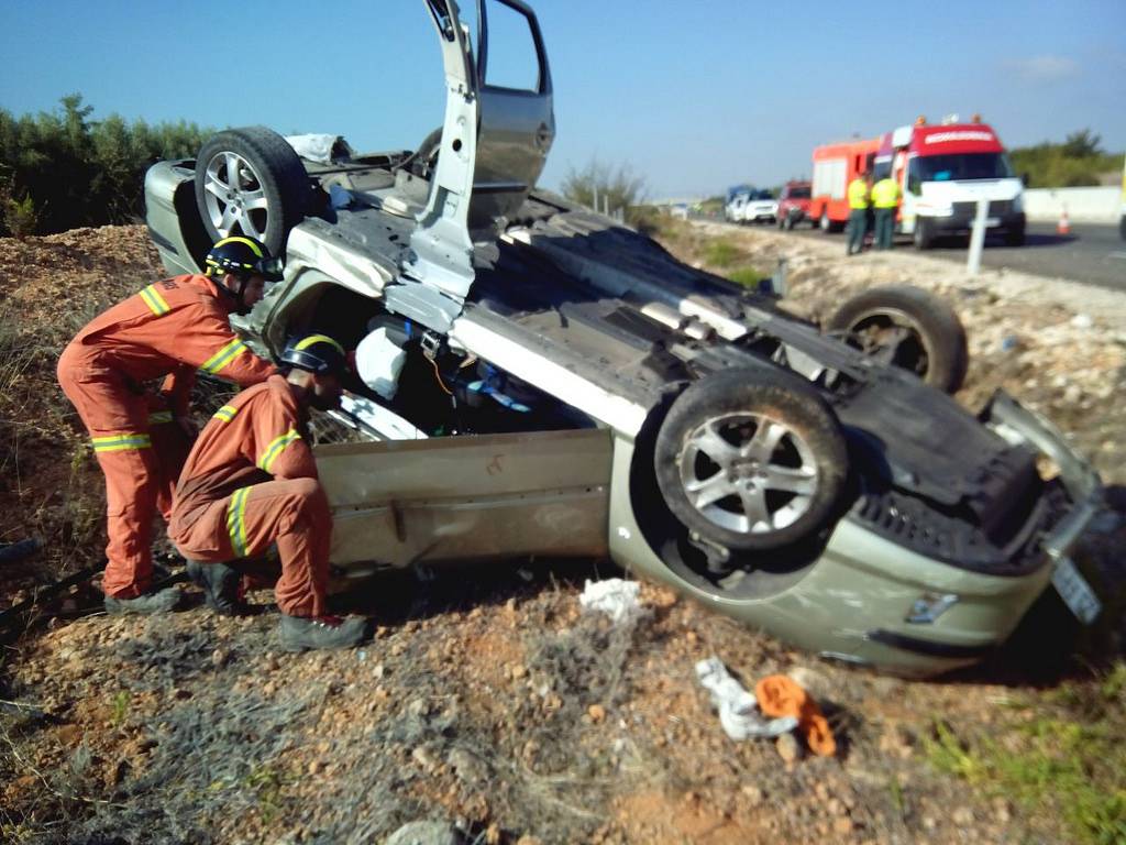 Los atropellos de fauna salvaje se saldaron con 38 fallecidos entre 2006 y 2012 / Consorcio de Bomberos de Valencia.