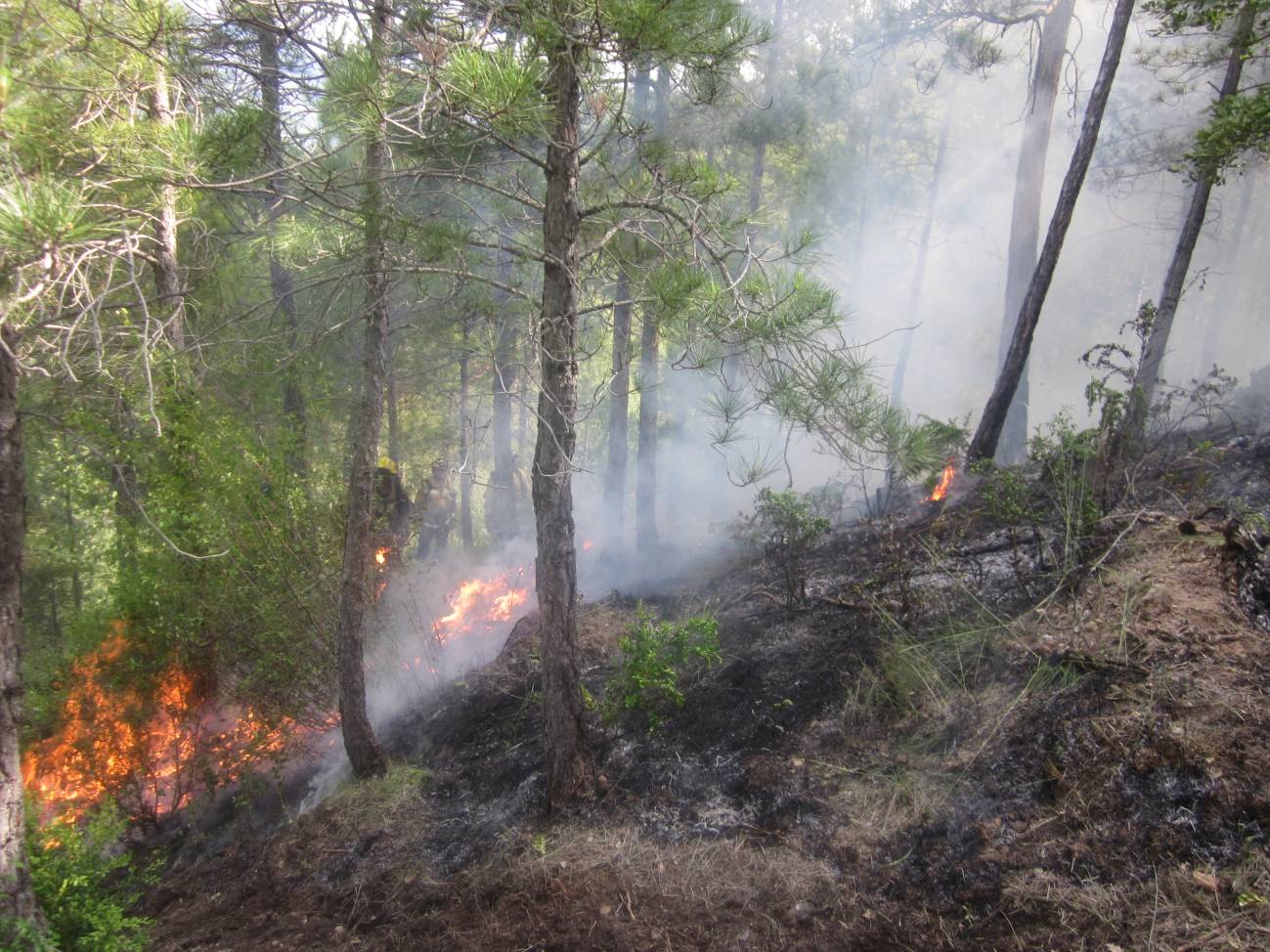 Los bomberos, factor determinante en el régimen actual de incendios forestales en Cataluña