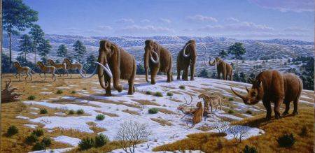 Los cambios climáticos y la caza por parte de los humanos llevaron a la definitiva extinción del mamut hace unos 3.500 años