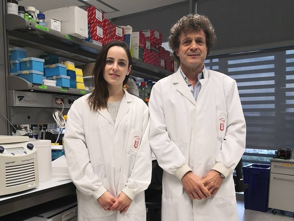 Los cannabinoides mejoran los síntomas de la endometriosis en ratones