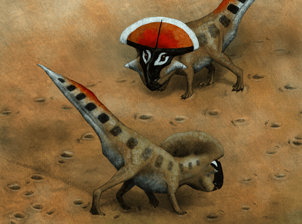 Los dinosaurios elegían pareja por el tamaño de sus cuernos y crestas 