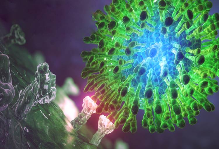 Los especialistas reclaman una batalla global y coordinada contra la hepatitis C