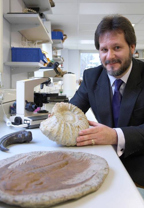 Los fósiles de dinosaurios encajan con exactitud con el árbol evolutivo de la vida propuesto por los científicos