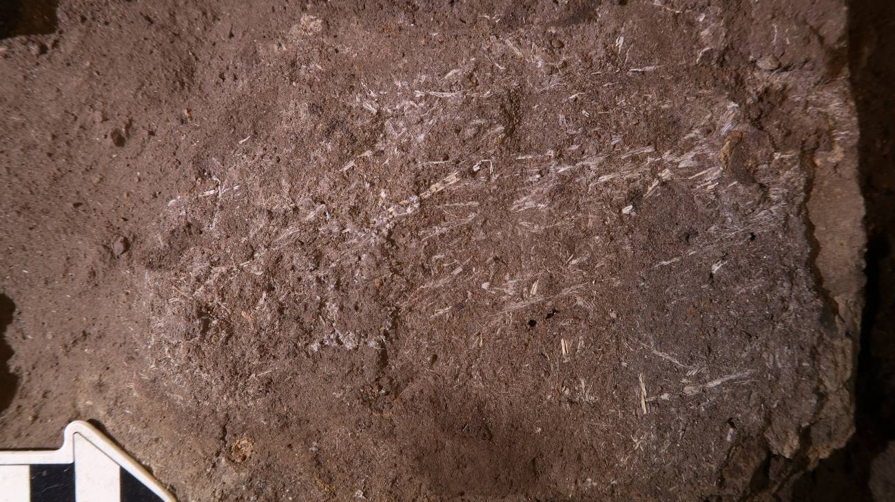 Los humanos usaban camas de hierba hace 200.000 años