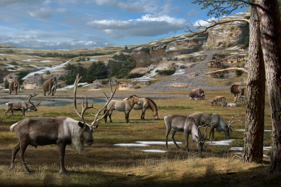 Los humanos y el cambio climático, corresponsables de la extinción de grandes mamíferos 