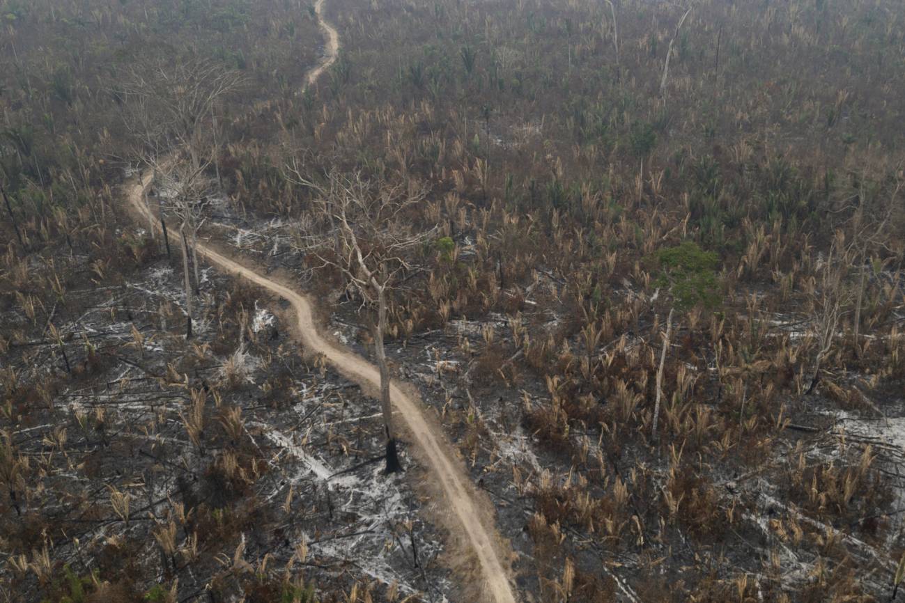 incendios en Brasil