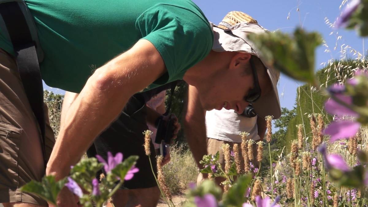 Hay más vegetación esta primavera