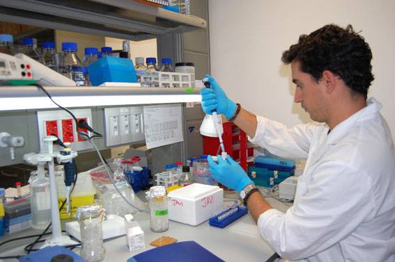 Los laboratorios de células madre se modernizan 