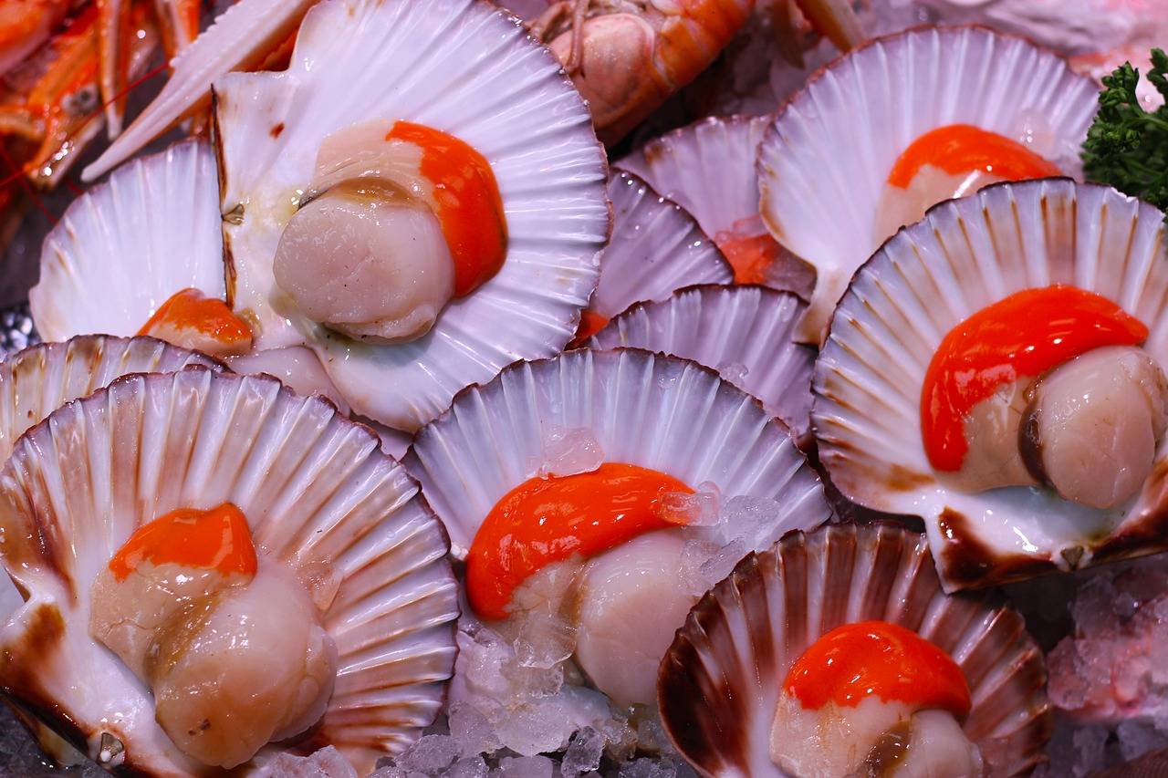 Los mariscos cultivados por el hombre son más resistentes a la extinción