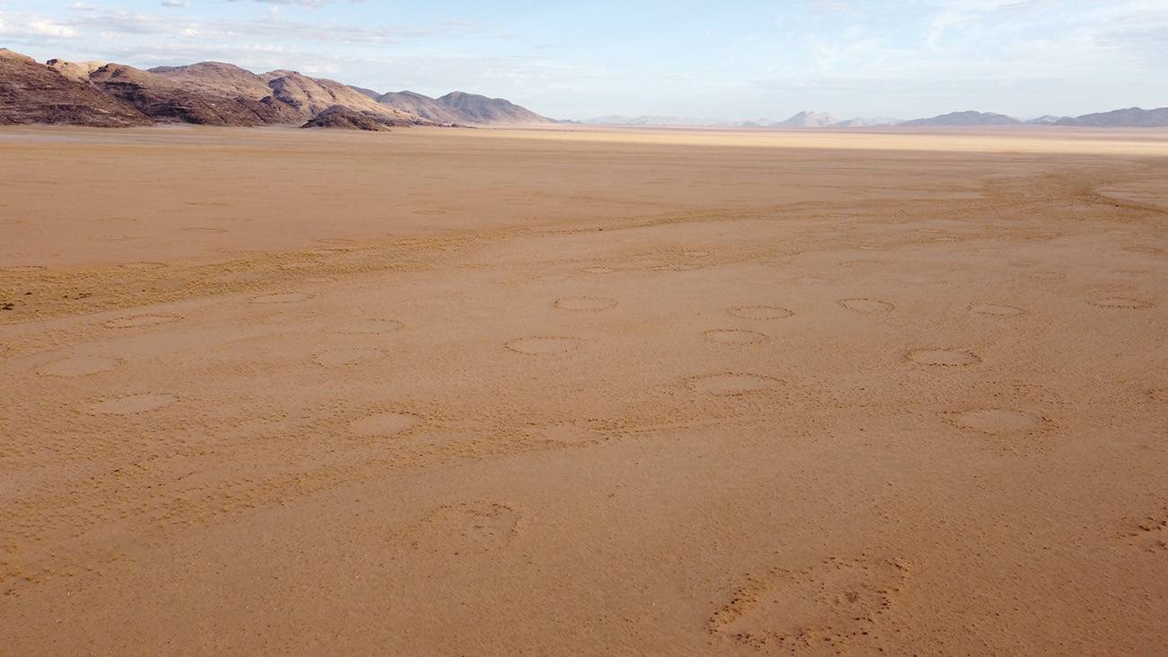 Círculos de hadas en una llanura de Namibia