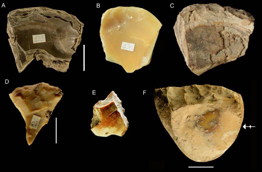 Los neandertales buceaban varios metros para recoger conchas