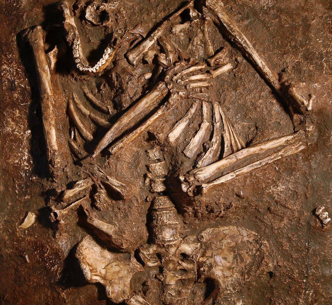 Réplica del esqueleto neandertal de Kebara 2