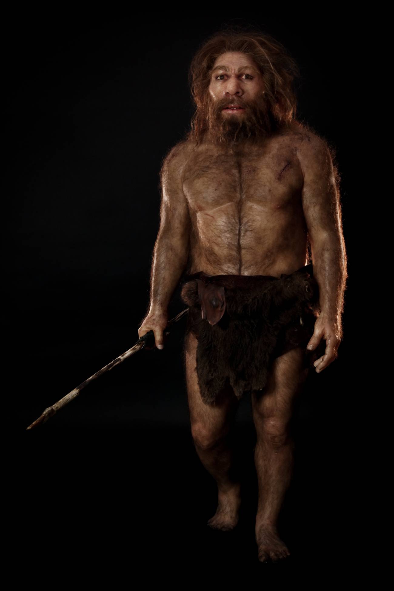 Los neandertales usaban palillos para calmar el dolor de algunas enfermedades bucales
